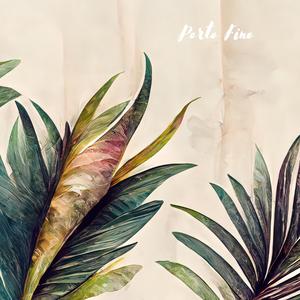 日本一区二区的视频
